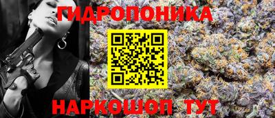 шишки Абакан
