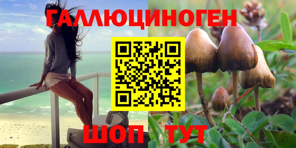 Псилоцибиновые грибы ЛСД Алексин