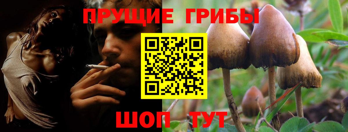 Алексин  Галлюциногенные грибы MAGIC MUSHROOMS  Вход с VPN 